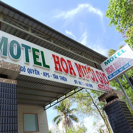 Готель Nha Nghi Hoa Muoi Gio Tan Tao Екстер'єр фото